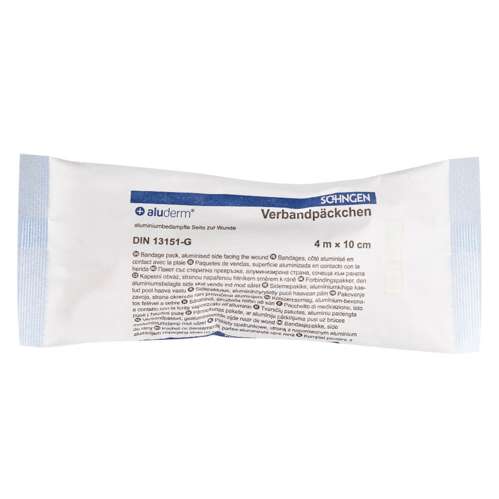 BIGPACK ALUDERM Verbandpäckchen groß, 10x12cm Wundkompresse, 4m x 10cm, 250 ST